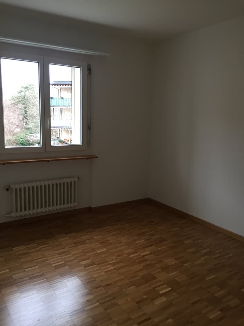 Zimmer.JPG