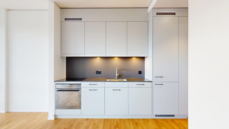 1.5 Zimmerwohnung in Zürich (2)