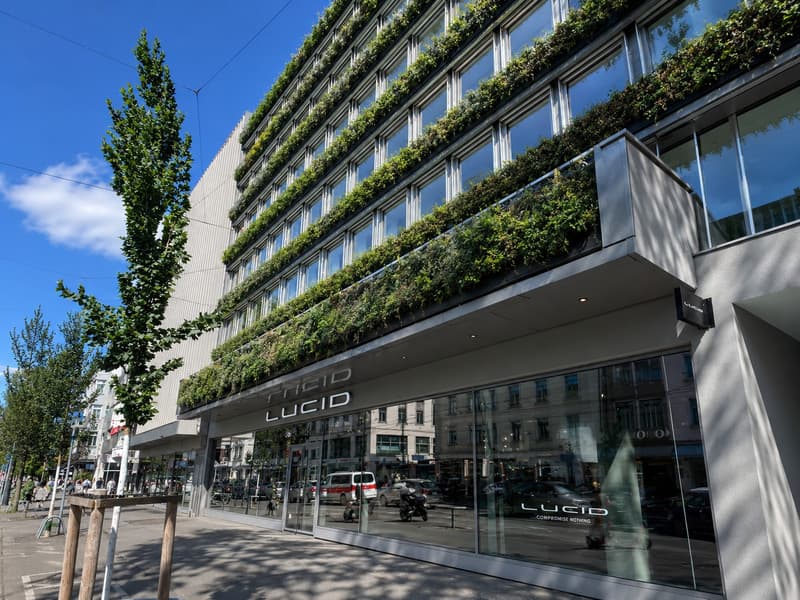 THE FUTURE IS GREEN beim Zürich HB - Exklusive Attika-Büros mit Terrasse (5)