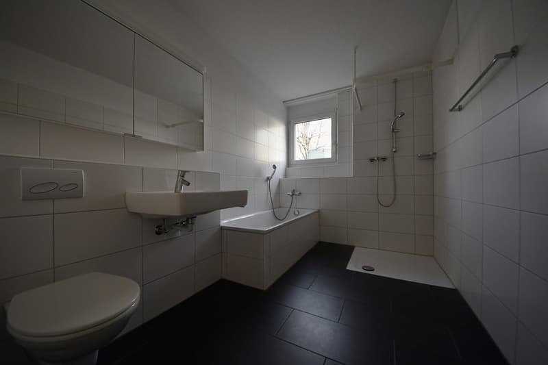 4.5-Zimmerwohnung in Kloten zu vermieten (2)