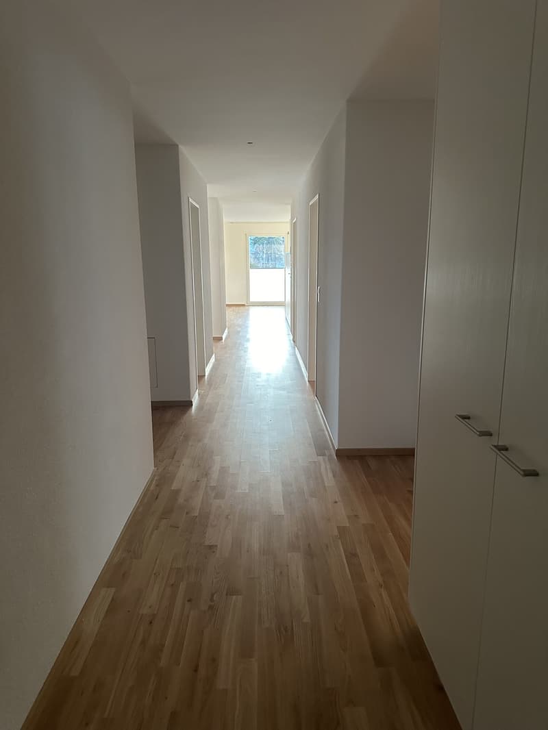 Lichtdurchflutete 5.5-Zimmerwohnung im Oberland zu vermieten (8)