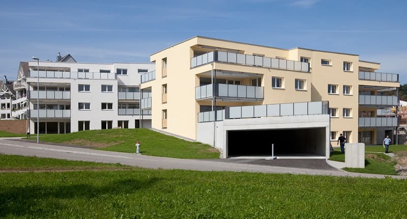 Lichtdurchflutete 5.5-Zimmerwohnung im Oberland zu vermieten (1)