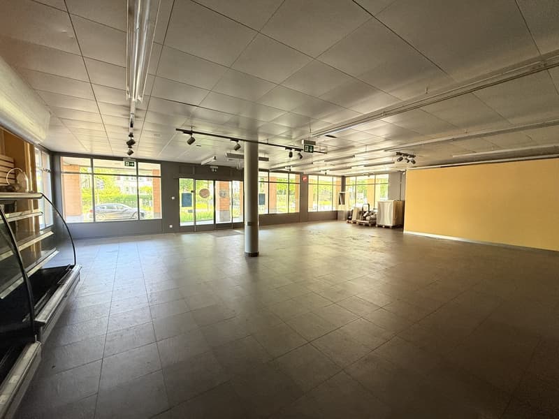 Grosszügige und flexibel gestaltbare Gewerbefläche im EG (6)