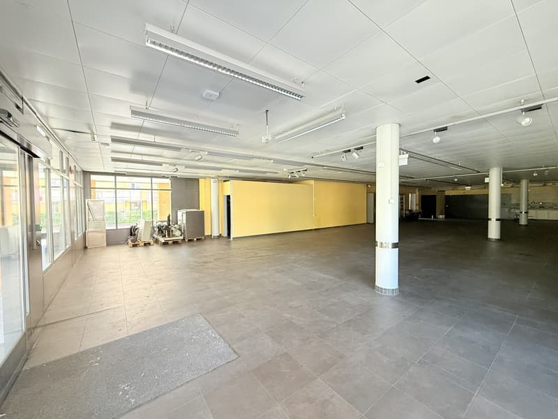 Grosszügige und flexibel gestaltbare Gewerbefläche im EG (5)