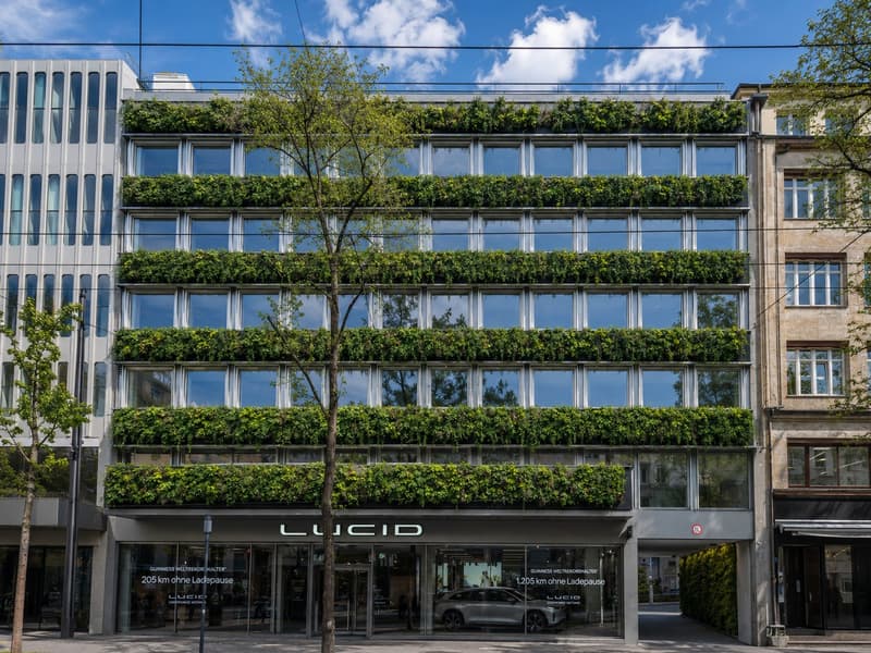 THE FUTURE IS GREEN (12)