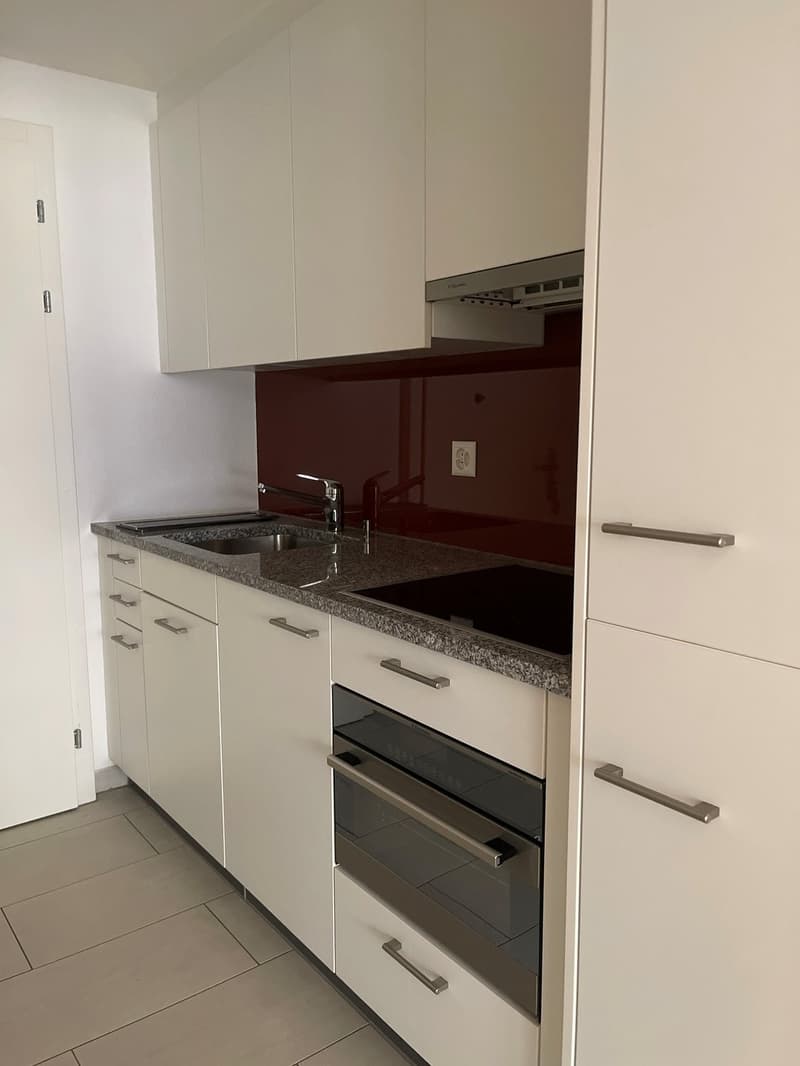 Charmante 1-Zimmer-Wohnung an zentraler Lage in Zürich (5)