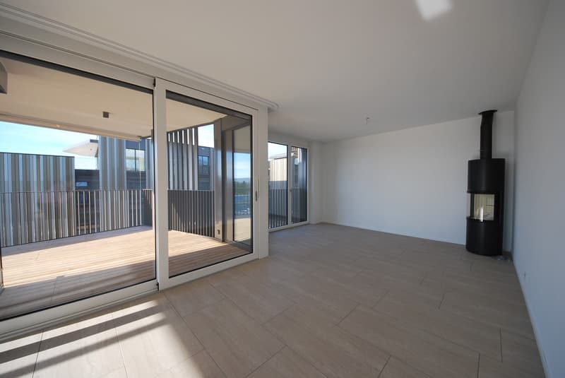 Moderne 5.5-Zimmerwohnung im Erdgeschoss in ruhigem Quartier (5)