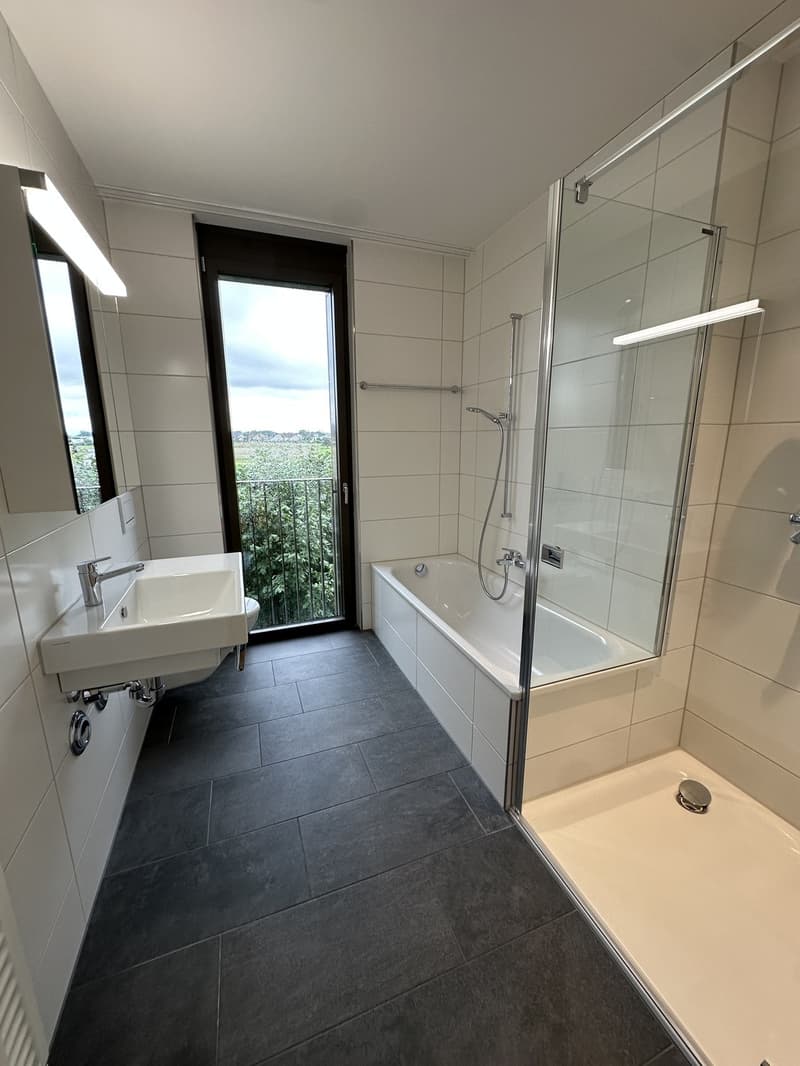 Moderne 5.5-Zimmerwohnung im Erdgeschoss in ruhigem Quartier (7)