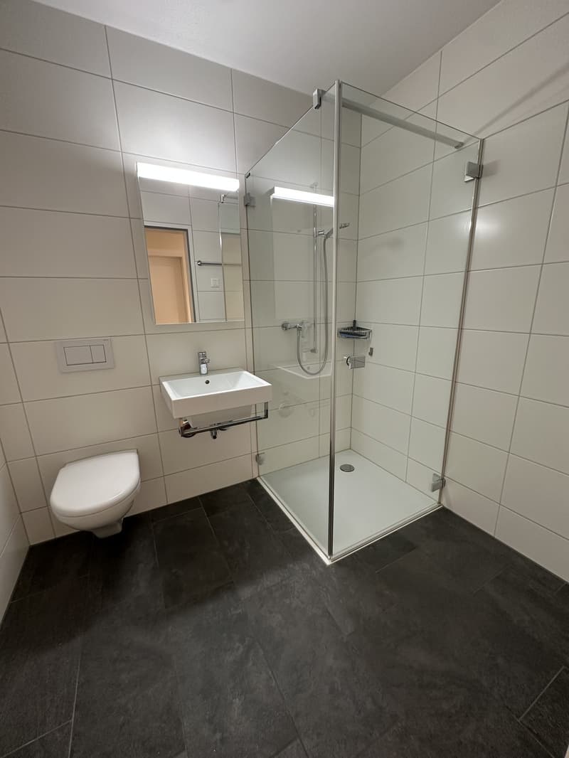 Moderne 5.5-Zimmerwohnung im Erdgeschoss in ruhigem Quartier (8)