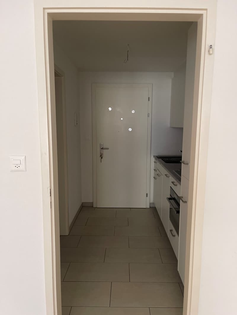 Charmante 1-Zimmer-Wohnung an zentraler Lage in Zürich (2)