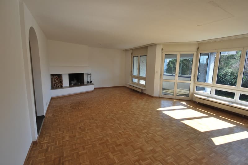 Moderne , grosszügige Wohnung mit viel Raumgefühl, Cheminée und sonnigem Balkon/Wintergarten (2)