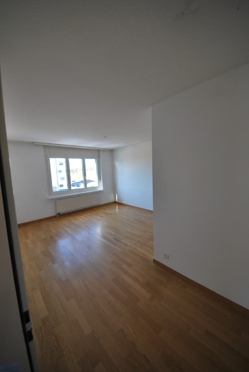 Moderne , grosszügige Wohnung mit viel Raumgefühl, Cheminée und sonnigem Balkon/Wintergarten (5)