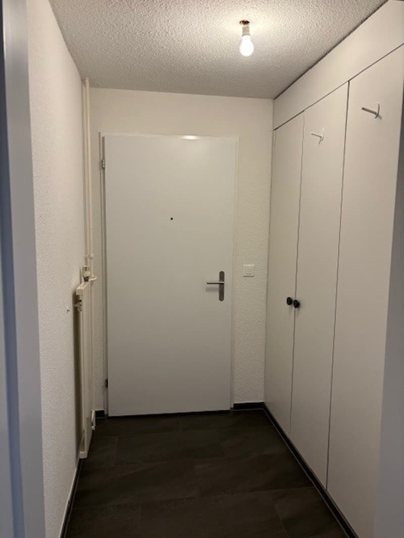 Entrée/Einbauschränke