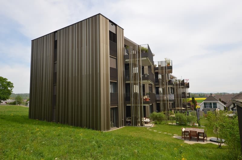 Moderne 5.5-Zimmerwohnung im Erdgeschoss in ruhigem Quartier (1)