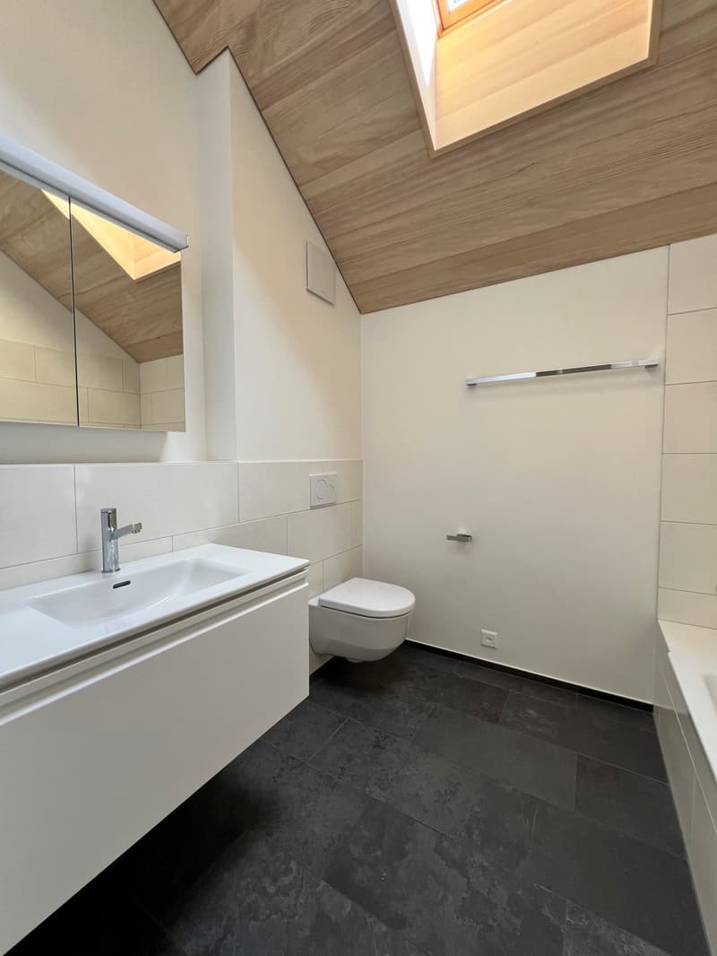 Wohnung in Zollikerberg zu vermieten (3)