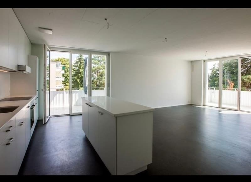 3 ½ Zimmer-Attikawohnung, 8707 Uetikon am See (4)