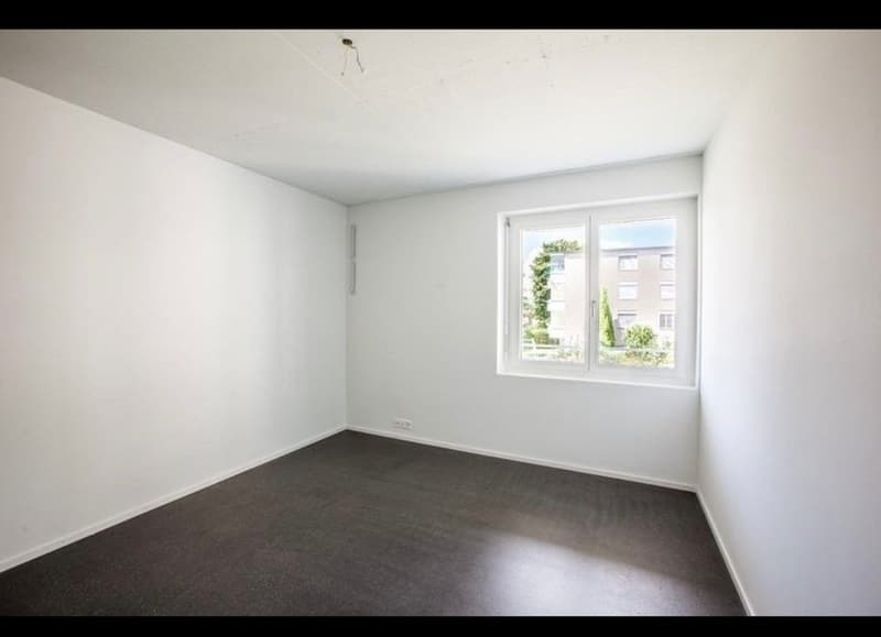 3 ½ Zimmer-Attikawohnung, 8707 Uetikon am See (1)