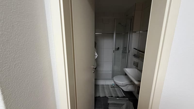 Charmante Altstadtwohnung im Herzen von Zürich (8)