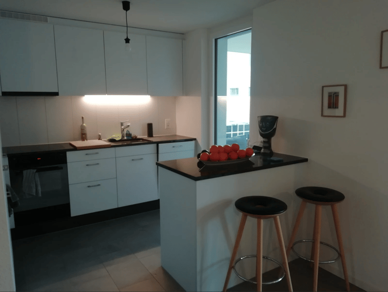 3 ½ Zimmer-Wohnung, 8050 Zürich (7)