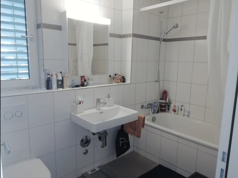 3 ½ Zimmer-Wohnung, 8050 Zürich (8)