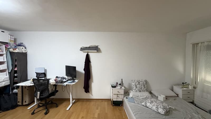 Charmante Altstadtwohnung im Herzen von Zürich (7)