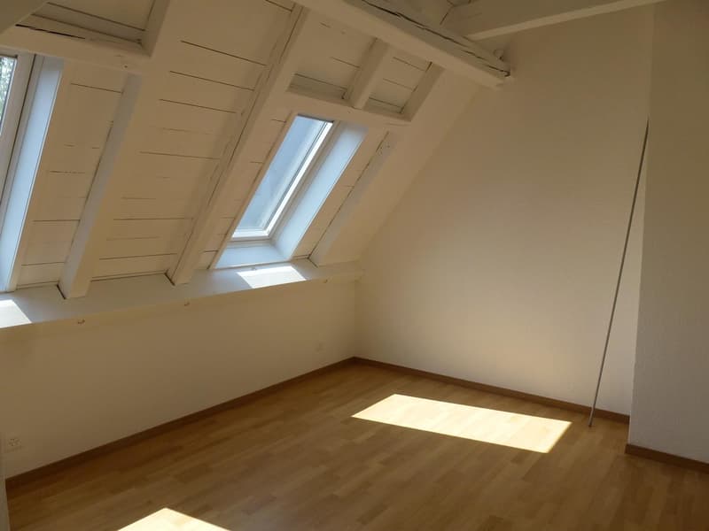 Charmante Wohnung direkt beim Klusplatz (5)