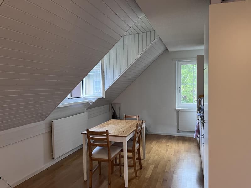 2 Zimmer-Wohnung, 8708 Männedorf (4)