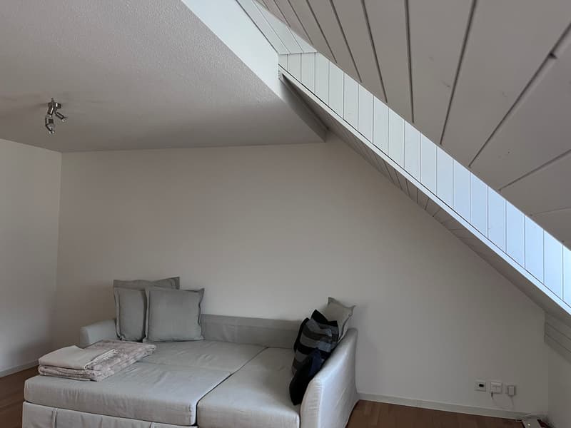 2 Zimmer-Wohnung, 8708 Männedorf (7)