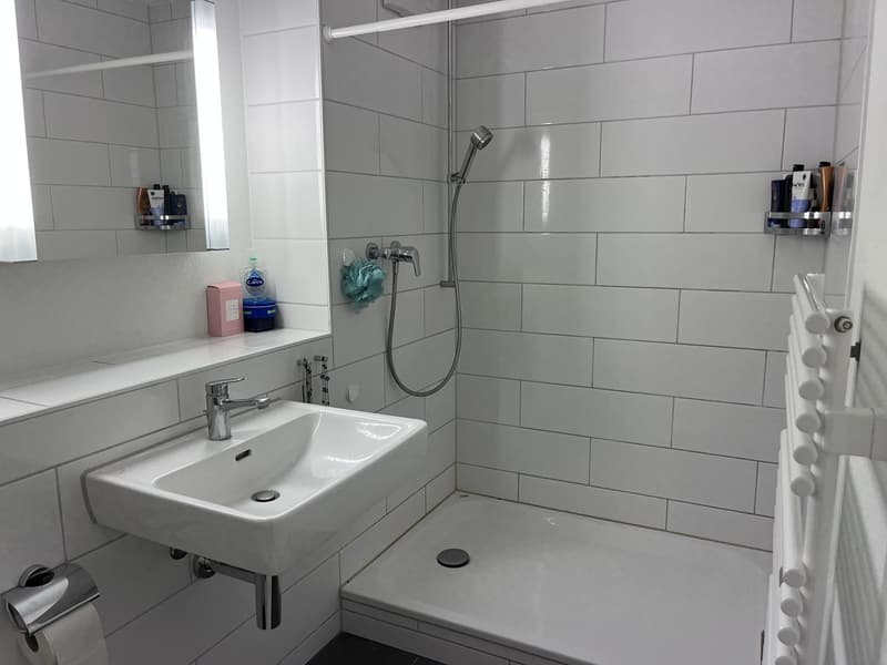 2 Zimmer-Wohnung, 8708 Männedorf (8)