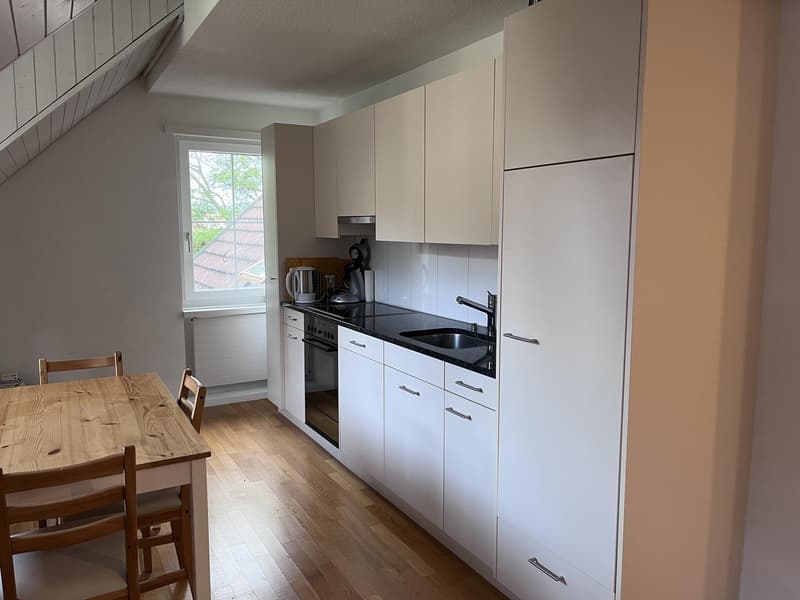 2 Zimmer-Wohnung, 8708 Männedorf (3)