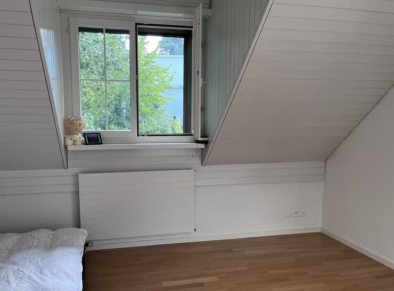 2 Zimmer-Wohnung, 8708 Männedorf (5)
