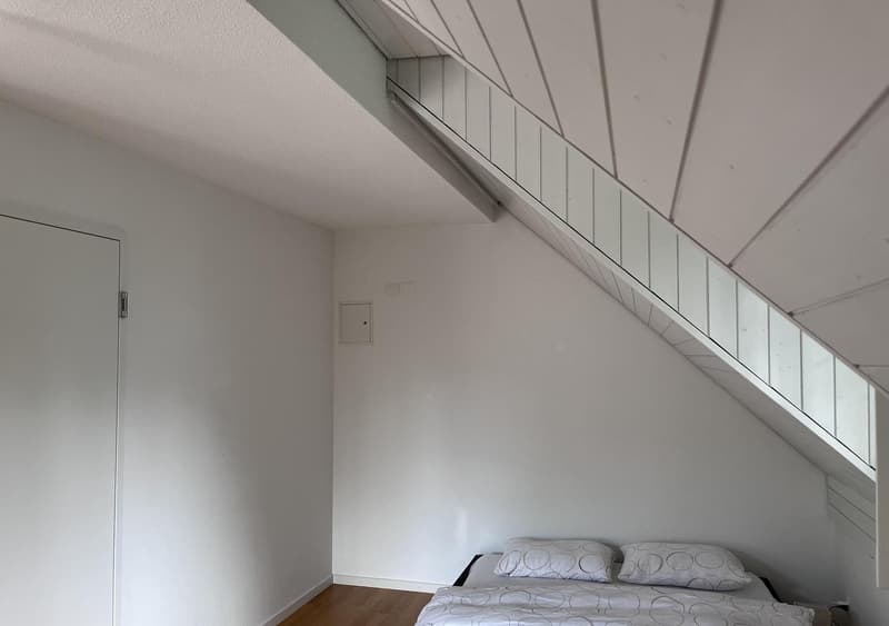 2 Zimmer-Wohnung, 8708 Männedorf (6)