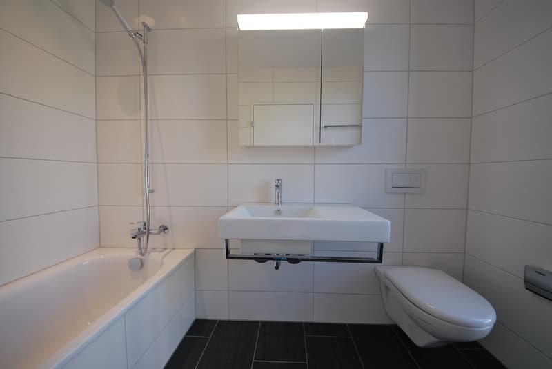 Hochwertige 3.5-Zimmerwohnung in Dietlikon zu vermieten (6)