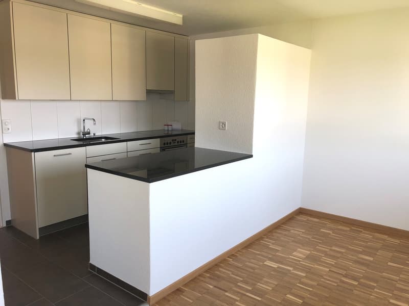 Schöne 3.5-Zimmerwohnung in Effretikon zu vermieten (5)
