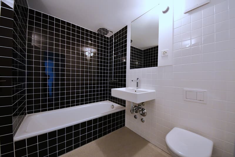 3.5-Zimmerwohnung an der Triemlistrasse zu vermieten (6)