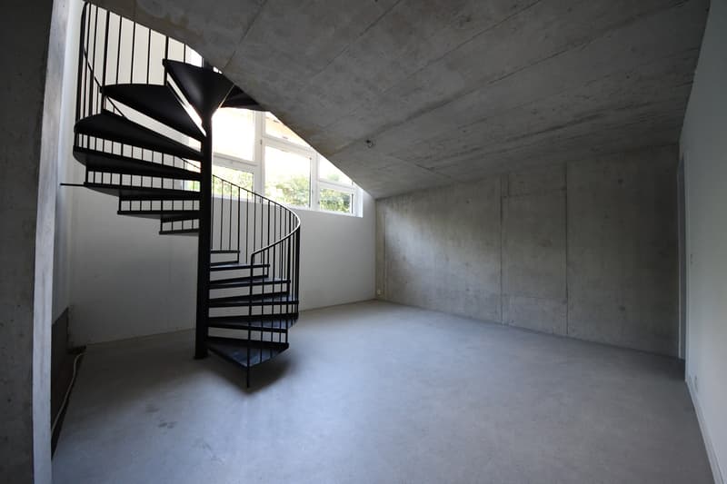 3.5-Zimmerwohnung an der Triemlistrasse zu vermieten (9)
