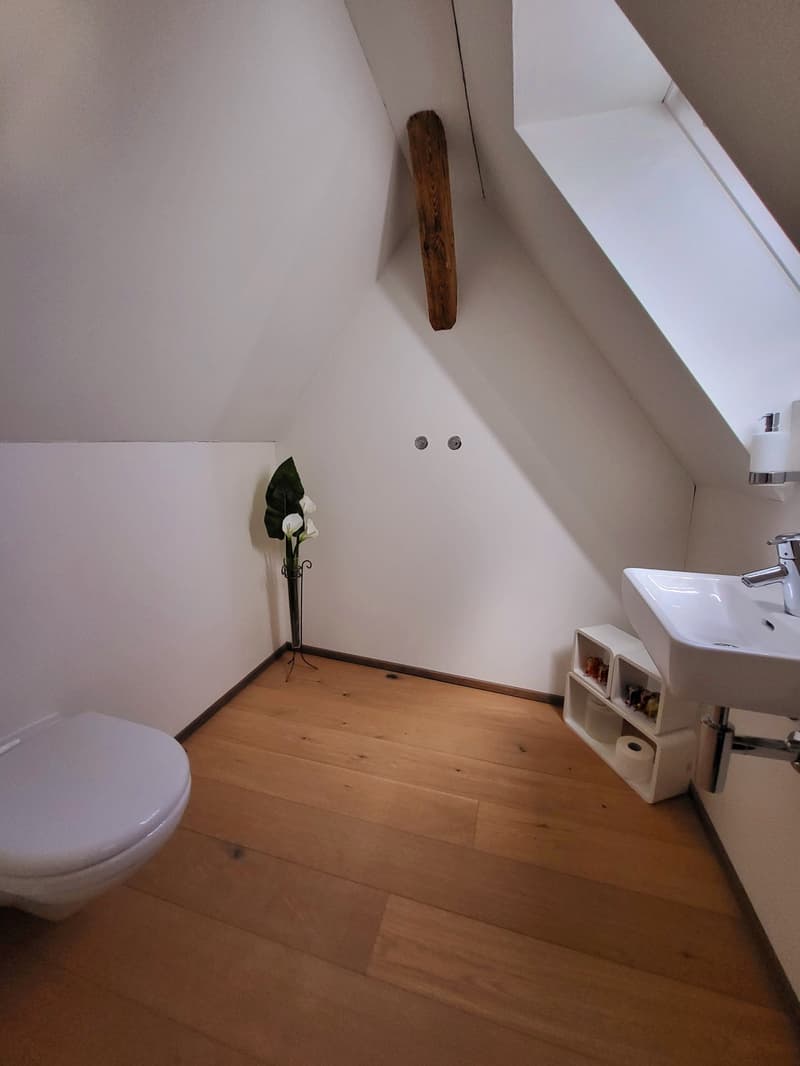 4.0-Zimmer-Maisonette-Wohnung direkt am See in Ermatingen (10)