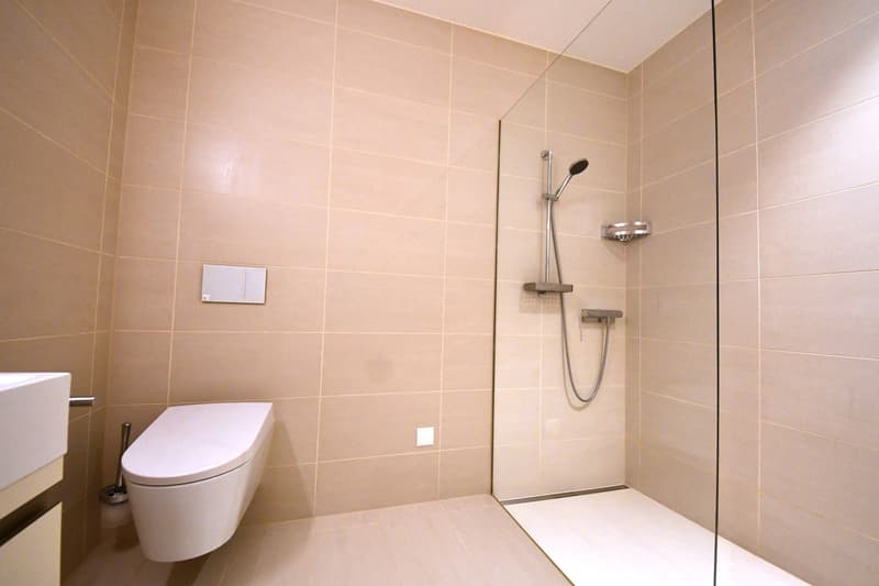 Attraktive Wohnung mit Gartensitzplatz in Zürich-Hottingen (5)
