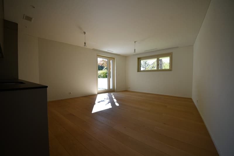 Attraktive Wohnung mit Gartensitzplatz in Zürich-Hottingen (4)