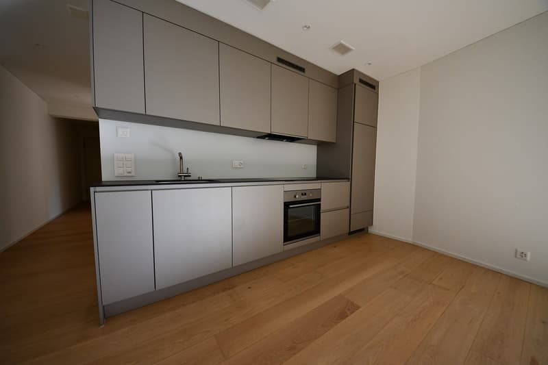 Attraktive Wohnung mit Gartensitzplatz in Zürich-Hottingen (3)