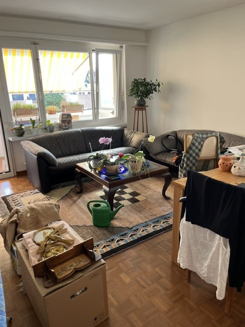 3 Zimmer-Wohnung, 8802 Kilchberg (2)