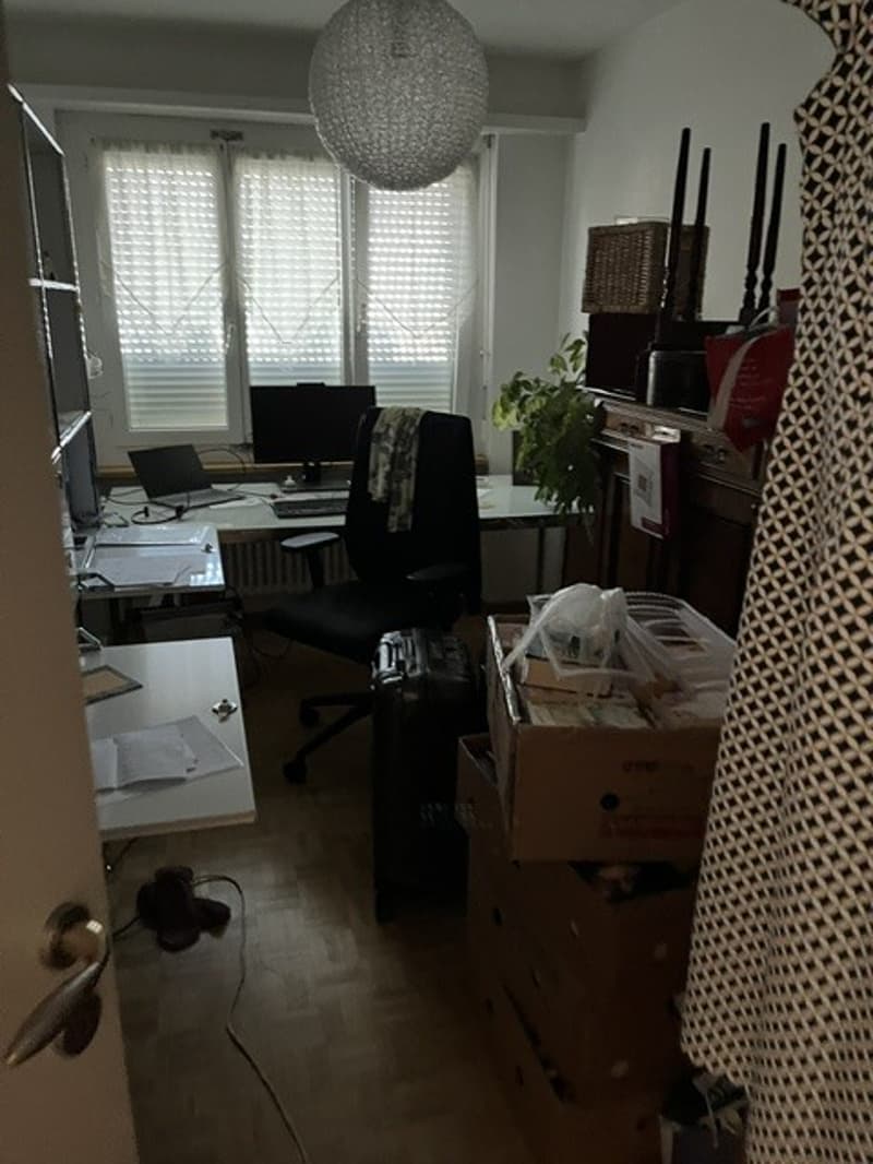 3 Zimmer-Wohnung, 8802 Kilchberg (5)