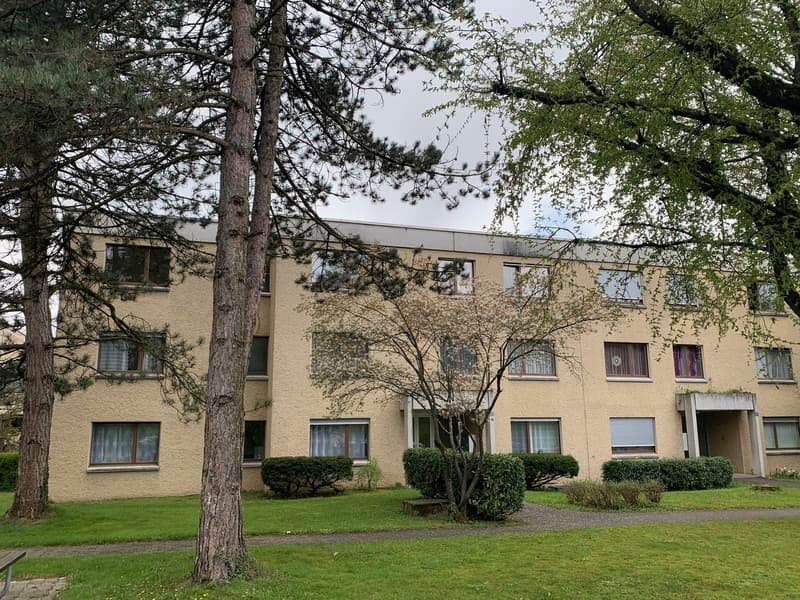 Gemütliche 2.5 Zimmerwohnung mit Cheminée und Sitzplatz im Grünen (2)