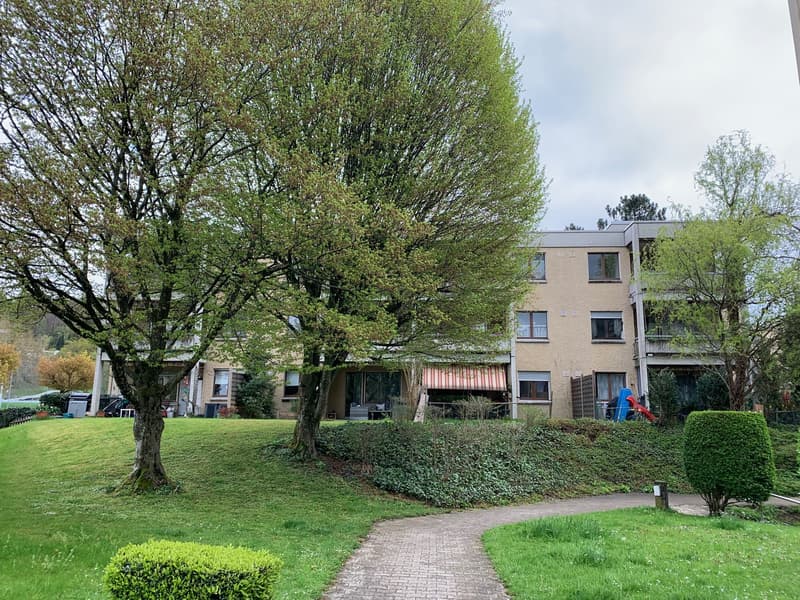 Gemütliche 2.5 Zimmerwohnung mit Cheminée und Sitzplatz im Grünen (1)