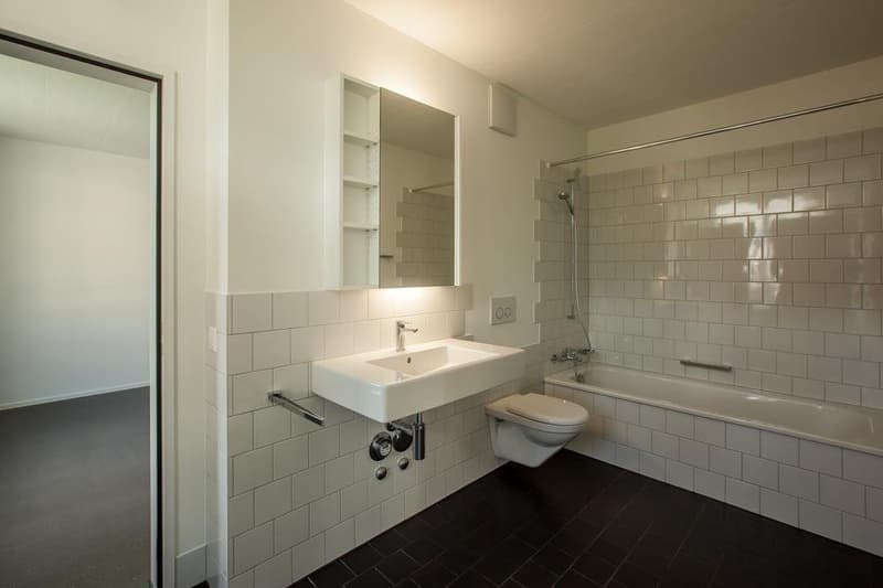 Ihr neues Zuhause in Uetikon am See (6)