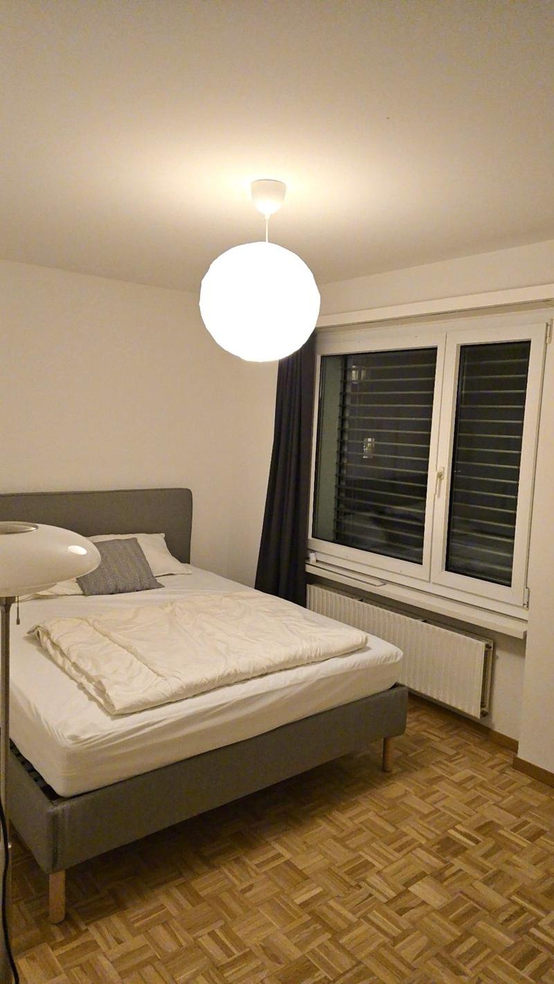 3 ½ Zimmer-Attikawohnung, 8004 Zürich (7)