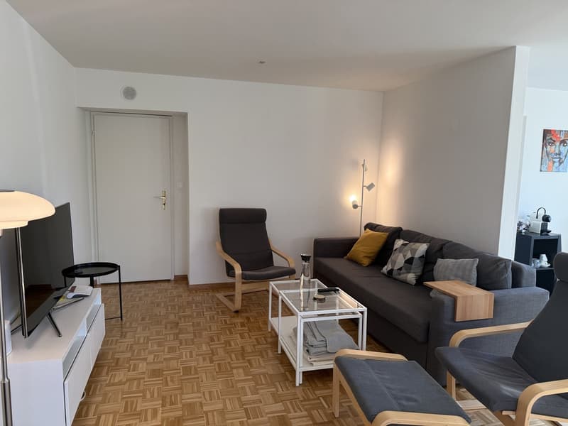 3 ½ Zimmer-Attikawohnung, 8004 Zürich (4)