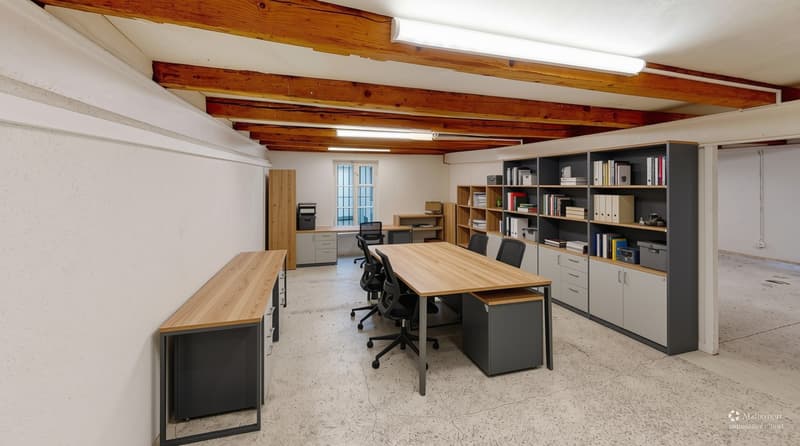 Bürofläche an Top-Lage nahe Zürcher HB (5)
