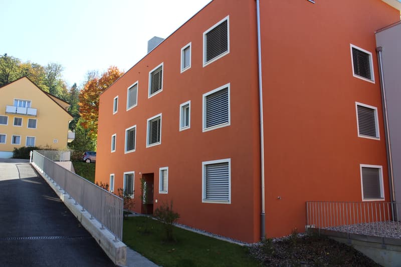 Wohnung in Tagelswangen zu vermieten (1)