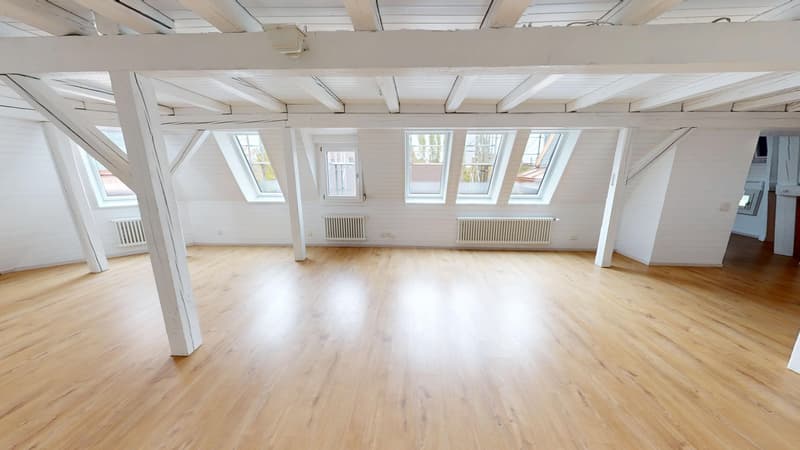 Exklusive 4.5-Zimmerwohnung in historischer Villa an bester Lage (2)